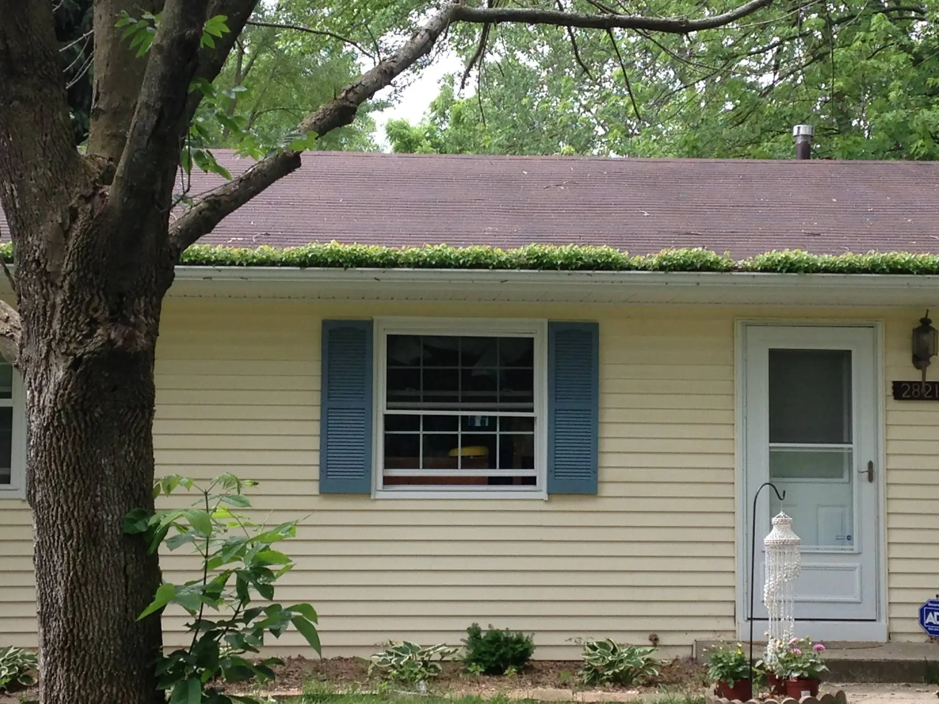 Gutter cleaning and repair for a Lansing Michigan home